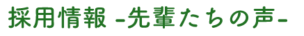 採用情報-先輩たちの声-