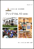 ブリッジVOL.10